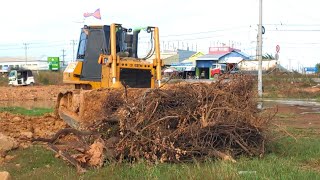 Incredible CAT bulldozer pushing dirt and duump truc dumping dirt.