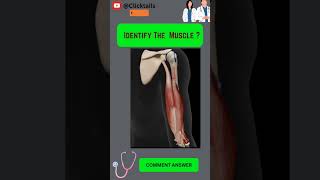 Identify the Muscle of upper limb quiz #anatomy #humananatomy #upperlimuscles