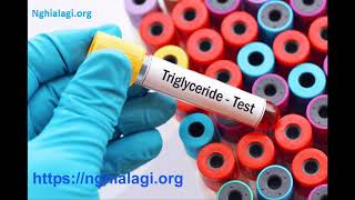 Triglyceride là gì? Những ý nghĩa của Triglyceride - Nghialagi.org