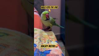 Mithu got angry🤬… searching for Maa #viral  #trengingshorts #ytshorts