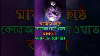 মায়াবী কন্ঠে কোরআন তেলাওয়াত, শুনলে হৃদয় নরম হয়ে যাবে। #shortvideo #quran #কোরআন_তেলাওয়াত