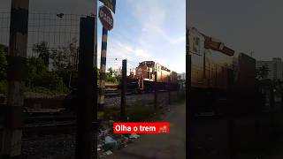 olha o trem 🚂#viral.