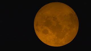 Orange Moon captured in 4k #shorts