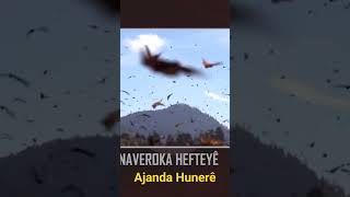 Ajanda Çand û Hunerê ya vê heftê ...