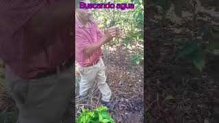 Buscando el Mejor Agua para tu Pozo Artesanal ¡Descúbrelo Ahora! #shorts #shortvideo #fypシ゚viral