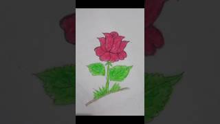 Easy drawing #rose #shorts