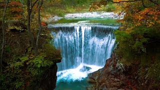 Relaxing Waterfall Sounds for Sleep | Calming Waterfall Ambience for Stress Relief