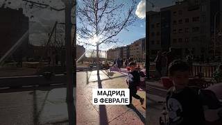 СНОВА ТЕПЛО ПРИШЛО #мадрид #испания #прогулка #пятница