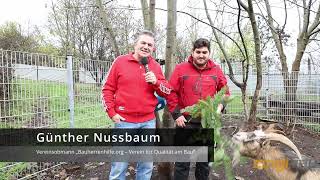 Tierischer Adventkalender | ZINGLBAU GmbH