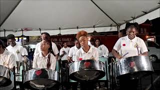 02- Arima All Stars Steel Orchestra .Pan For the People Concert Series 3 May 2024