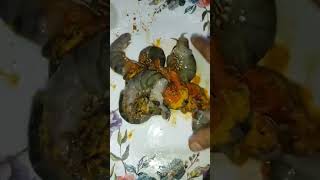 shrimp curry || চিংড়ি ভুনা রেসিপি ||