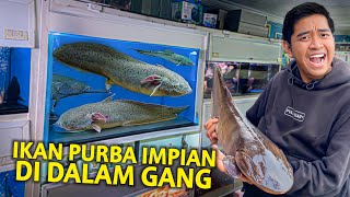 GAK NYANGKA IKAN PURBA IMPIAN ADA DI TOKO AQUARIUM DALAM GANG INI! BOB WAK GALAK YOGYAKARTA!