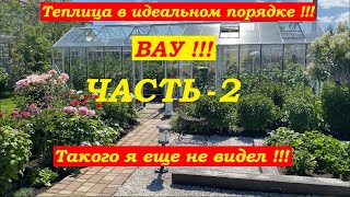 Теплица с томатами и огурцами в идеальном порядке! Вау!!! Такого я еще не видел !!! ЧАСТЬ-2.