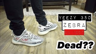 Yeezy 350 Zebra On Feet!!