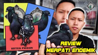 REVIEW MERPATI ENDEMIK KETER BARONG