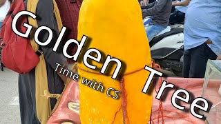 Golden Tree | Oldest Fruit |Time with CS