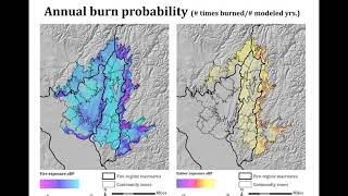 Implementing collaborative planning programs to generate fire-adapted communities