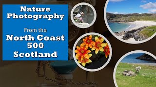 North Coast 500, Scotland - Nature Photography: Discovering lanscapes, wildlife, plants