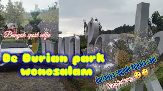 De durian park wonosalam| bersantai keluarga kekinian | nemu durian sekepala sapi..tapi bo'ong..!!🤪🤪