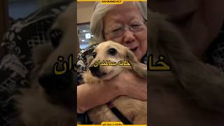 خانه سالمندان سگ ها | فکت های جالب و دانستنی ها #فکت #دانستنی #short #shorts