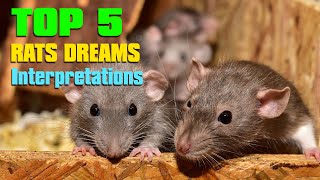 Top 5 RAT DREAM Scenarios we dream about it, Rat Zodiac - Rat Dream Dictionary Interpret Now !