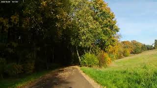 Park miejski Tarnowskie Góry , droga rowerowa , przejażdżka