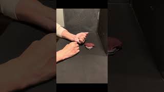 "Coin, back to purse!"- quick coin tricks #magichands #cointricks