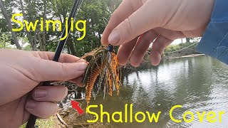 Why You Should Throw a Swim Jig in Shallow Cover