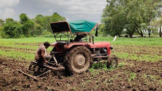 पुराने ट्रैक्टर की पूरी ताकत लगा दी गीले खेत में Old Massey Full power performance #NarendraTractors