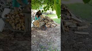 Giving shelter to the firewood. Outdoor workout