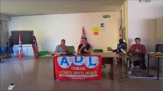 Padova, assemblea delegati 2017 - Intervento di Stefano di Adl Cobas Bologna