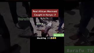 Real African Mermaid Caught in Kenya#shorts