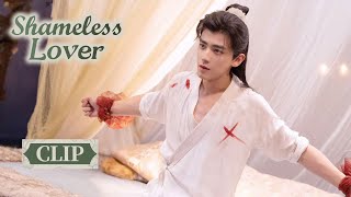 Clip EP03: Sassy lady was heartbroken when seeing young master injured | ENG SUB | Shameless Lover