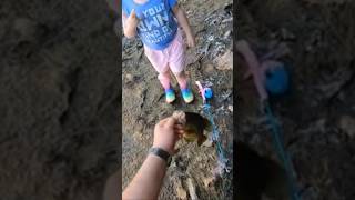 Don’t Forget The Kids 👧 #fish #shortvideo #shorts #fyp #fishing