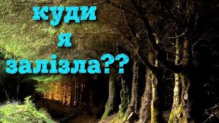 СПРАВЖНІ ІРЛАНДСЬКІ ХАЩІ🇮🇪 ЗАЛІЗЛА В КРОПИВУ БІЛЯ ЗАТОКИ