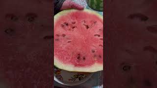 ПОСЛУШАЙТЕ ,КАК ОН ХРУСТИТ , А КАКОЙ СЛАДКИЙ, САХАРНЫЙ!!! Ммм😊👍🍉