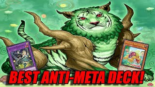 BEST ANTI-META DECK! - [Yu-Gi-Oh! TCG]