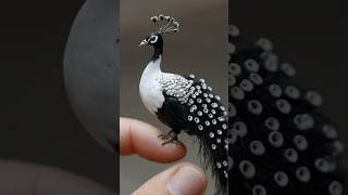 A balck white small peacock 🦚🦚 #birdsounds #shortfeed#peacock #birdslover #relaxingbirdsounds #mzai