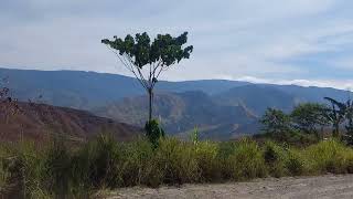 Road to Communal Ranch of Bukidnon