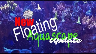 Floating Aquascape Update | Reef Tank