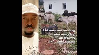 Girls Go Wild As Obi Cubana Buries His Mum With Over 246 Cows In Style