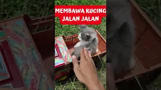 MEMBAWA KUCING JALAN JALAN MENGGUNAKAN TRUK #Shorts