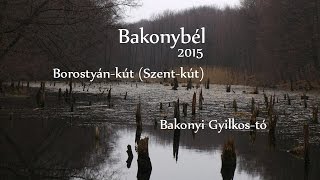 Bakonybél2015