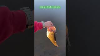 Big 5lb Bass on that PB&J jig #family #fishing #fun #shorts #explore #subscribe #adventure #outdoors