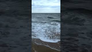 Ocean Ambient Soundscapes