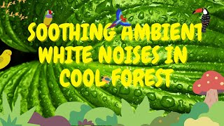 Waterfall Sounds for Sleeping | Waterfall Sounds | Rainforest Sounds for Sleep | Water Sounds Sleep