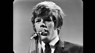 Can't You Hear My Heartbeat - Herman's Hermits