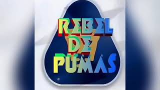 Letras De Soy de Pumas desde La Cuna