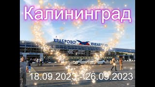 Калининград. Тур с 18.09.2023 по 26.09.2023