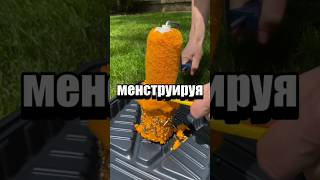 Случайные факты #факты #tiktok